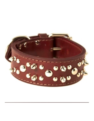 Omni Pet Latigo Leather Spike/Stud Dog Collar Burgundy 1.75 x 26in.
