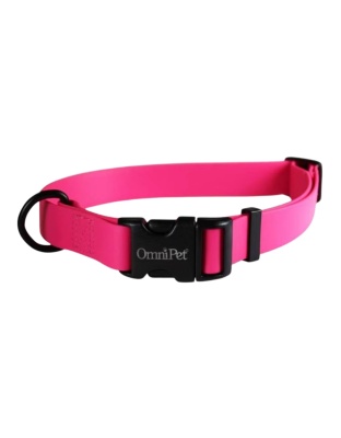 Omni Pet Carnival Biothane Dog Collar Ruby 1 x 18 x 26in.