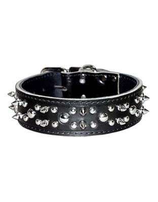 Omni Pet Latigo Leather Spike/Stud Dog Collar Black 1.75 x 28in.