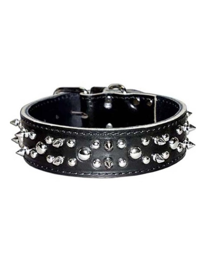 Omni Pet Latigo Leather Spike/Stud Dog Collar Black 1.75 x 20in.