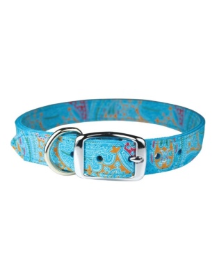 Omni Pet Leather Paisley Dog Collar Turquoise  3/4 x 20in.