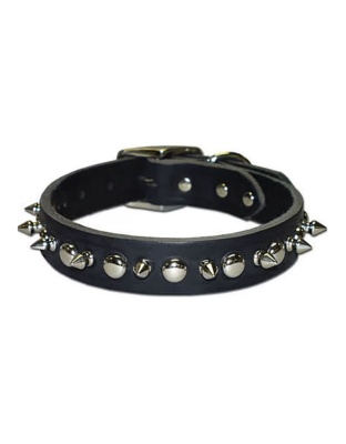 Omni Pet Latigo Leather 1 Ply Spiked Dog Collar Black 1 x 24in.