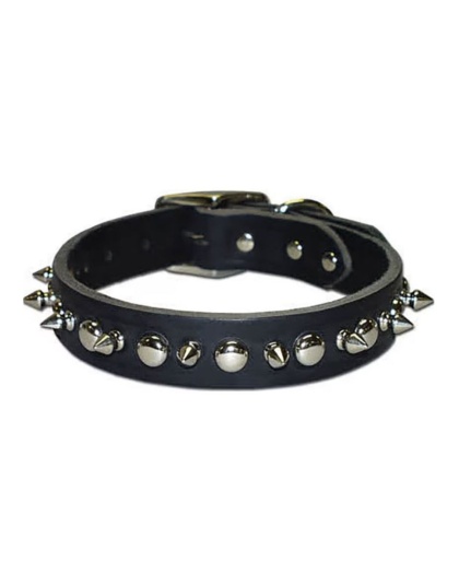 Omni Pet Latigo Leather 1 Ply Spiked Dog Collar Black 1 x 24in.