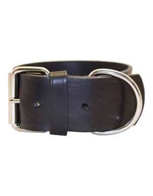 Omni Pet Latigo Leather 1 Ply Dog Collar Black  2 x 27in.