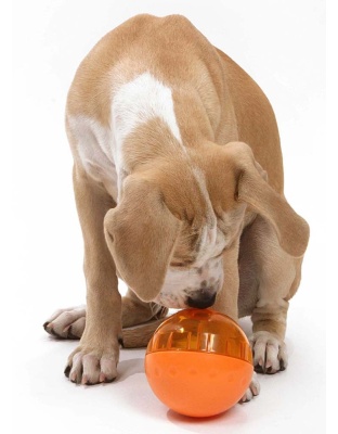 OurPets IQ Treat Ball Slow Feed Dog Toy Assorted 1ea/LG, 4 in