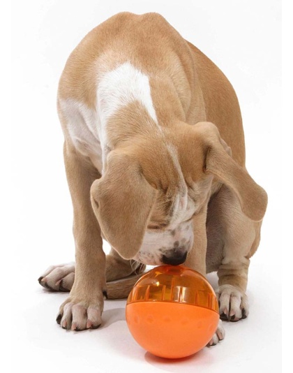 OurPets IQ Treat Ball Slow Feed Dog Toy Assorted 1ea/LG, 4 in