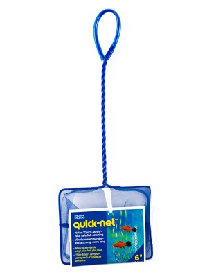 Penn-Plax Quick-Net Standard Handle Green 1ea/6 in X 5 in
