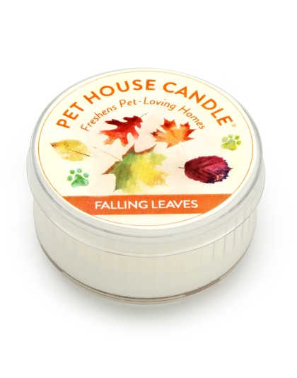 Pet House Candle Falling Leaves Mini Case of 12
