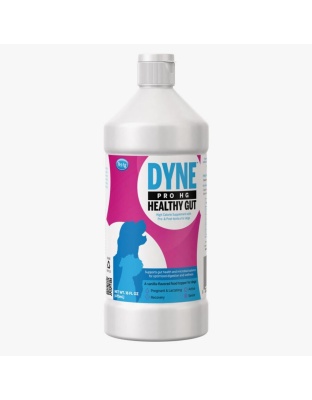Pet-Ag Dyne Pro HG Healthy Gut Dog Nutritional Supplement 1ea/16 oz