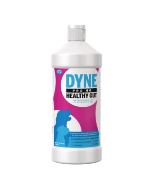 Pet-Ag Dyne Pro HG Healthy Gut Dog Nutritional Supplement 1ea/32 oz