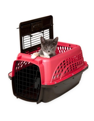 Petmate 2 Door Top Load Dog Kennel Hot Pink, Black 1ea/19 in