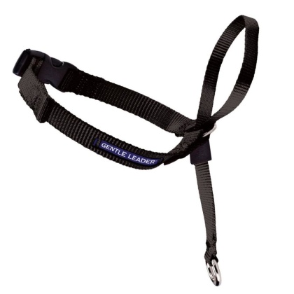 PetSafe Headcollar No-Pull Dog Collar Black 1ea/SM