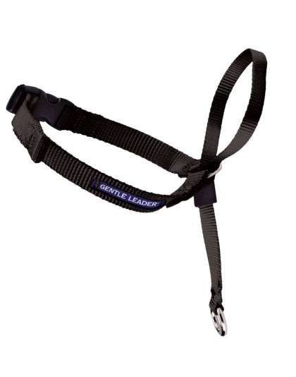 PetSafe Headcollar No-Pull Dog Collar Black 1ea/SM