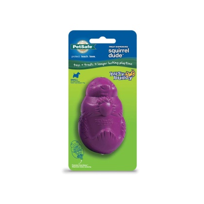 Busy Buddy Dog Toy Squirrel Dude Purple 1ea/SM