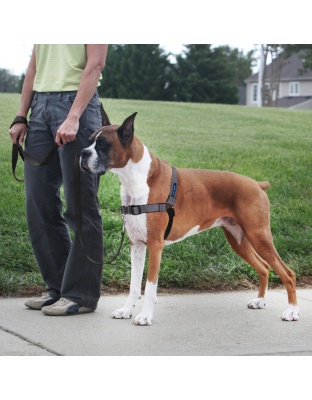 PetSafe Deluxe Easy Walk Steel Dog Harness Black/Steel 1ea/LG