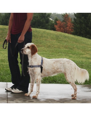 PetSafe Deluxe Easy Walk Steel Dog Harness Black/Steel 1ea/MD