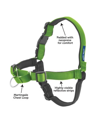 PetSafe Deluxe Easy Walk Steel Dog Harness Black/Apple 1ea/MD