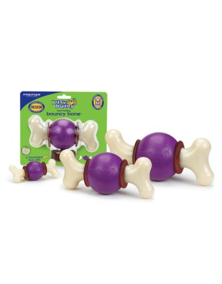 Busy Buddy Bouncy Bone Dog Chew Multi-Color 1ea/MD