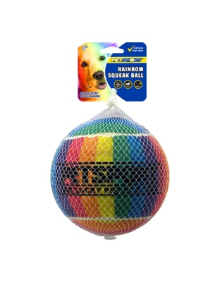 Petsport USA Rainbow Squeak Ball Dog Toy 1ea/4 in, 1 pk