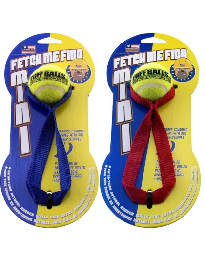 Petsport USA Fetch Me Fido Dog Toy Assorted 1ea/Mini