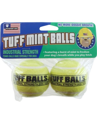 Petsport USA Mint Balls Dog toy Green 1ea/2 pk, 2.5 in