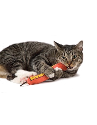 Petstages Green Magic Dynamite Catnip Toy Red 1ea/One Size