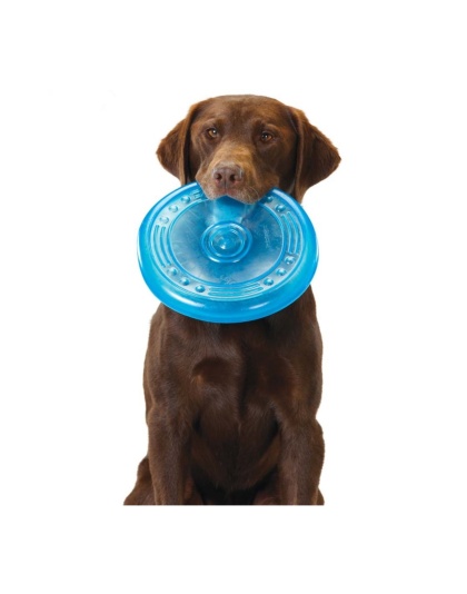 Petstages ORKA Flyer Dog Toy 1ea/One Size