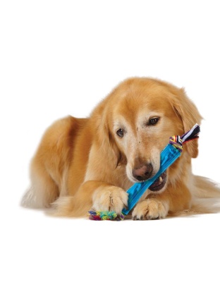 Petstages ORKA Stick Dog Toy 1ea/One Size