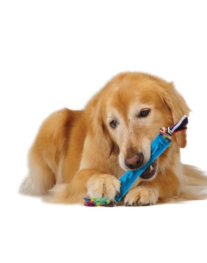 Petstages ORKA Stick Dog Toy 1ea/One Size
