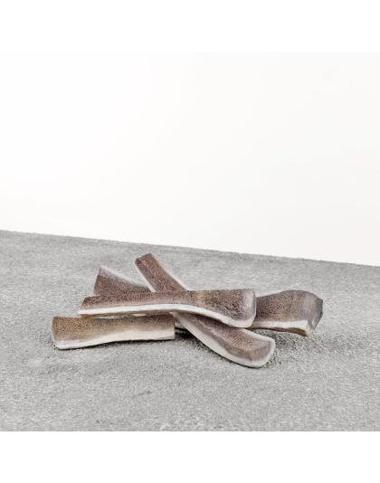 Primal Dog Elk Antler Medium