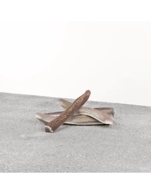 Primal Dog Stag Antler Large