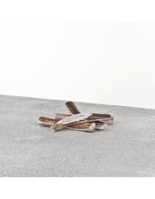 Primal Dog Stag Antler Medium