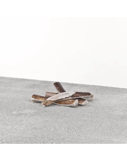 Primal Dog Stag Antler Medium
