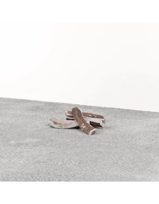Primal Dog Stag Antler Small