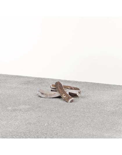 Primal Dog Stag Antler Small