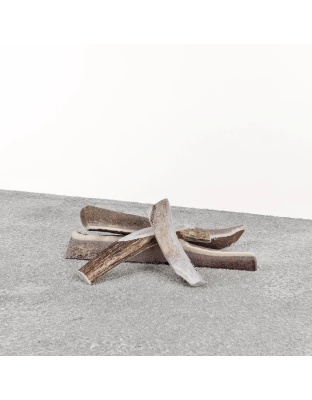 Primal Dog Stag Antler Xl