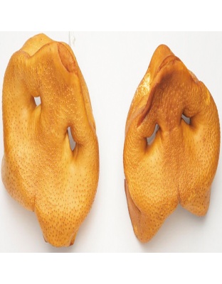 Redbarn Pet Products Pig Snouts Dog Treat 50ea/50 ct