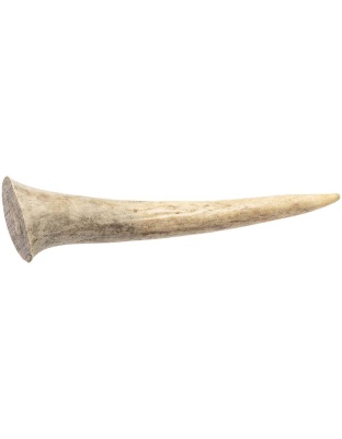 Redbarn Pet Products Natural Deer Antler Dog Treat Whole 1ea/SM/MD, 0.4 oz