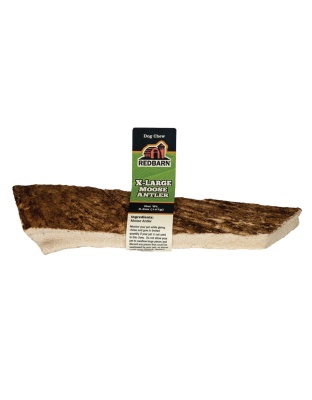 Redbarn Pet Products Moose Antler Dog Chew 1ea/XL