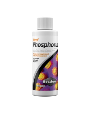 Seachem Laboratories Reef Phosphorus Supplement 1ea/100Ml|3.4 oz