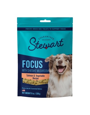 Stewart Freeze Dried Focus Dog Treats Pouch Salmon/Vegetables 8oz.