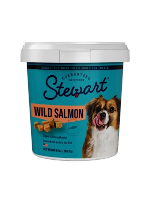 Stewart Single Ingredient Freeze Dried Dog Treats Salmon, 1ea/9.5oz.