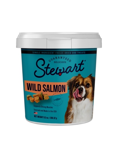 Stewart Single Ingredient Freeze Dried Dog Treats Salmon, 1ea/9.5oz.