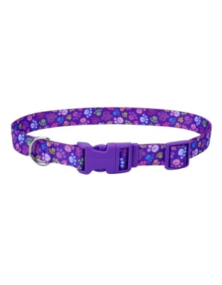 Styles Adjustable Dog Collar Purple 5/8 x 10-14 In