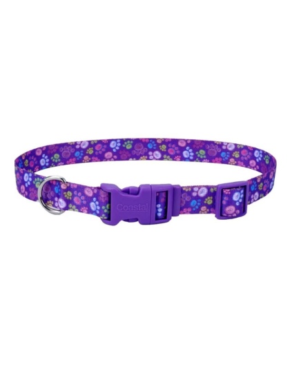 Styles Adjustable Dog Collar Purple 5/8 x 10-14 In