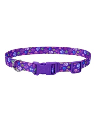 Styles Adjustable Dog Collar Purple X-Small 3/8 x 8-12 In