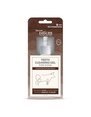TropiClean Enticers Teeth Cleaning Gel for Dogs Smoked Beef Brisket 1ea/4 oz