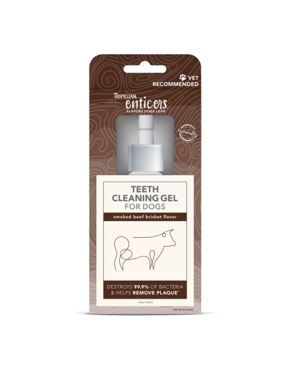 TropiClean Enticers Teeth Cleaning Gel for Dogs Smoked Beef Brisket 1ea/4 oz