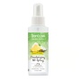 TropiClean Limited Edition Deodorizing Pet Spray Frosted Pineapple, 1ea/4 oz