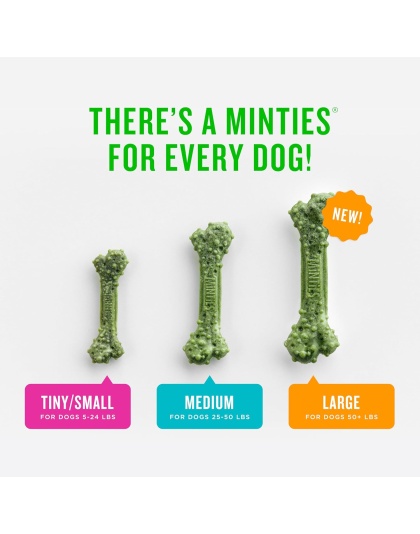 Vetiq Minties Dental Bone For Dogs Medium/Large 6.4oz. - 8count